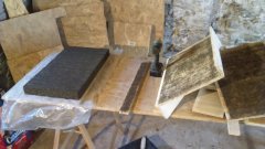 31