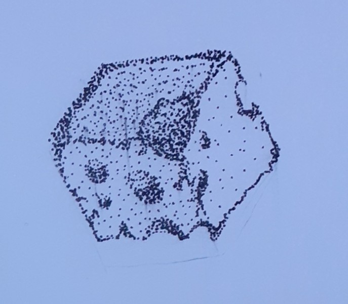 20210110_183818