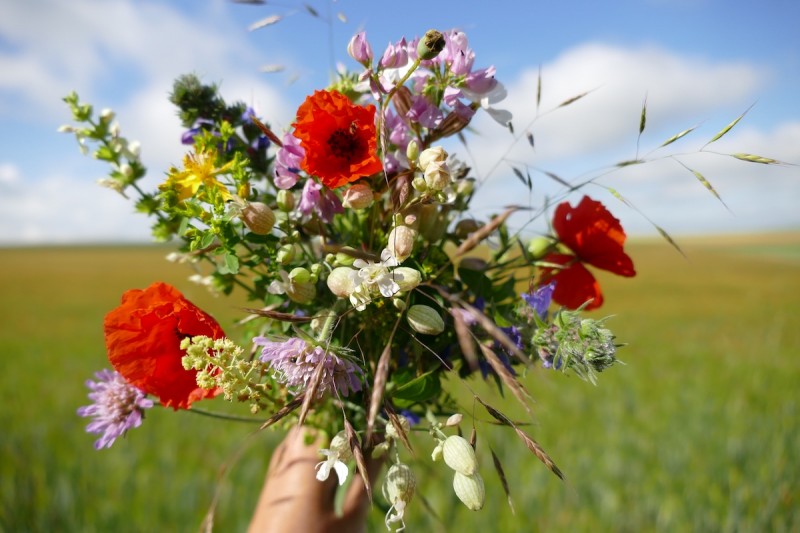 p1080230-bouquet-bord-de-champ-18juin20