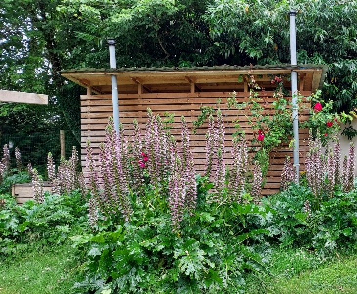 Jardin 1