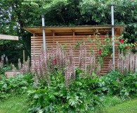 Jardin 1