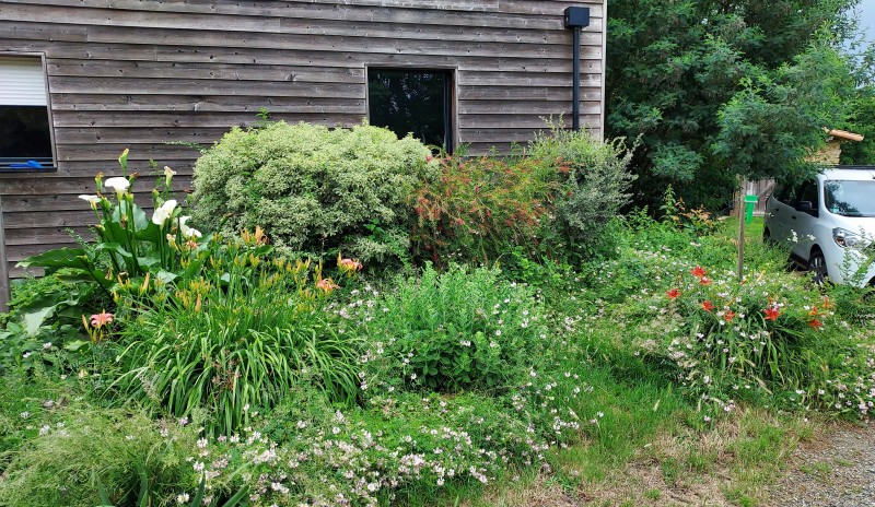 Jardin 2