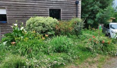 Jardin 2