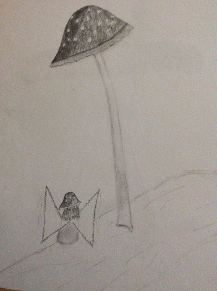 Champignon 1