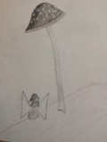 Champignon 1