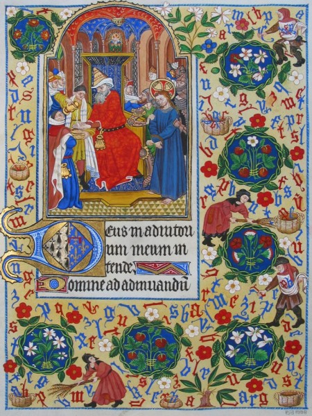 mlat1156bfolio135