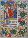 mlat1156bfolio135