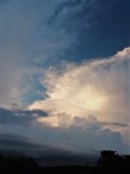 DSCF2520