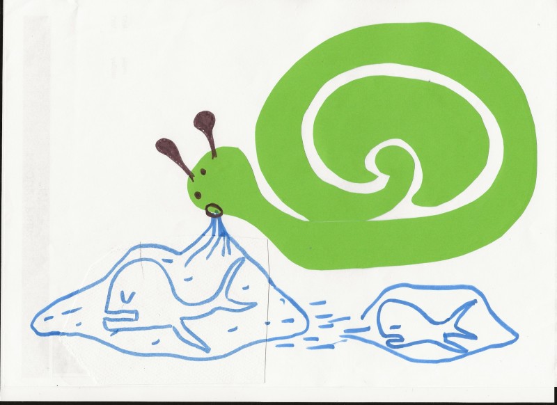 baleine 001