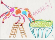 girafe 001