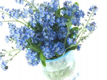 37_63799_wolpert-(f1-online)_blumen-blumenstrauss-vase-glas-vergissmeinnicht-blaue-blueten