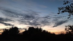 20220820_212428