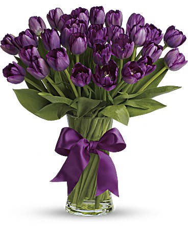 PassionatePurpleTulipsPM