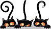 miaou