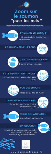 infographie-zoom-saumon1-600x1800