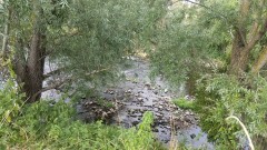 paradis de fraîcheur