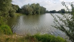 paradis de fraîcheur