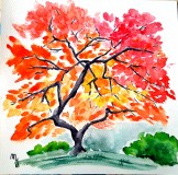 arbrecouleurs