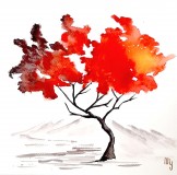 arbrerouge