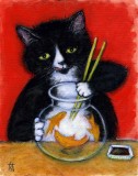 cat