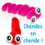 animal-en-chenille