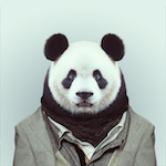 Avatar de l’utilisateur