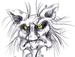 Avatar de l’utilisateur